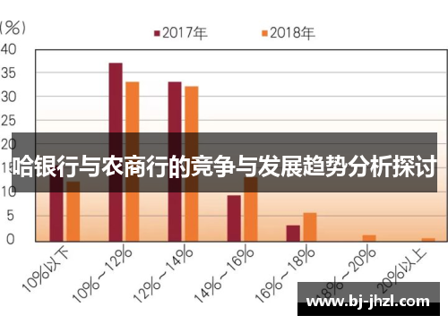 哈银行与农商行的竞争与发展趋势分析探讨