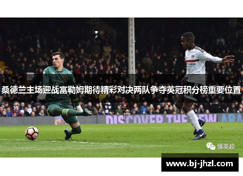 桑德兰主场迎战富勒姆期待精彩对决两队争夺英冠积分榜重要位置